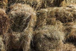 full frame close-up view of rectangular hay stacks photo