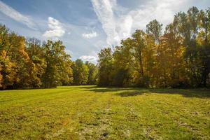 sunny autumnal meadow and yellow forest on its edges photo