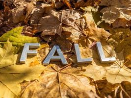 la palabra caída colocada con letras de metal sobre hojas caídas de otoño amarillas - cierre con enfoque selectivo foto
