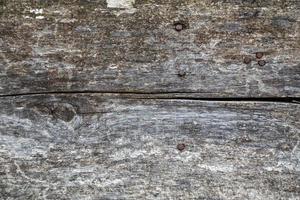 old gray dry wooden board with nails macro texture and background photo