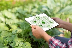 Agriculture technology farmer holding digital tablet or tablet technology to research about agriculture problems analysis data and visual icon. smart agriculture farmer using internet of things photo