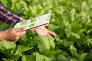 agricultor de tecnología agrícola que tiene tableta digital o tecnología de tableta para investigar sobre datos de análisis de problemas agrícolas e icono visual. granjero agrícola inteligente que usa internet de las cosas foto