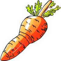 Watercolor cartoon carrot png