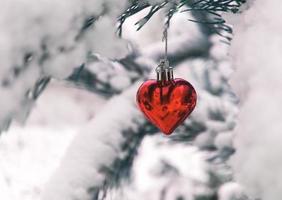 Christmas background with Christmas tree toy red heart on snow covered pine branch in winter forest, copy space photo