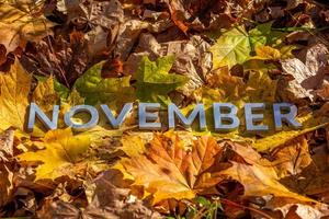 the word november laid with metal letters over yellow autumn fallen leaves - closeup with selective focus photo