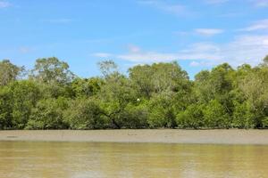 the estuary of the river that is receding makes the land visible between the trees photo