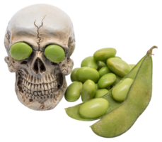 Green soybeans and head skeleton  isolated png