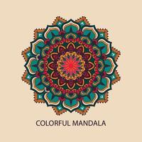 colorful mandala art vector