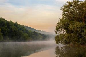 floating fog on summer river with tree over water photo