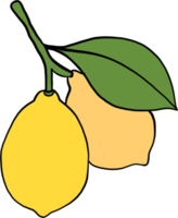 doodle desenho de esboço à mão livre de frutas limão. png