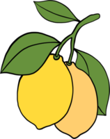 doodle freehand sketch drawing of lemon fruit. png