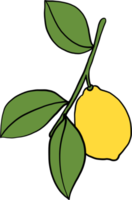 doodle freehand sketch drawing of lemon fruit. png