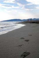 footprints on beach photo
