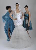 portrait of a three beautiful woman in wedding dress photo