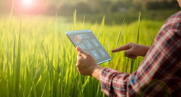 agricultor de tecnología agrícola que tiene tableta digital o tecnología de tableta para investigar sobre datos de análisis de problemas agrícolas e icono visual. granjero agrícola inteligente que usa internet de las cosas foto