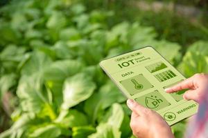 Agriculture technology farmer holding digital tablet or tablet technology to research about agriculture problems analysis data and visual icon. smart agriculture farmer using internet of things photo