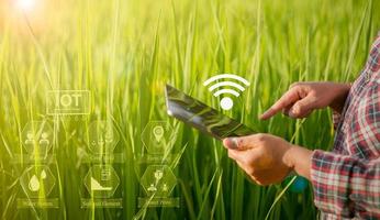 agricultor de tecnología agrícola que tiene tableta digital o tecnología de tableta para investigar sobre datos de análisis de problemas agrícolas e icono visual. granjero agrícola inteligente que usa internet de las cosas foto