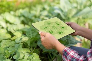 Agriculture technology farmer holding digital tablet or tablet technology to research about agriculture problems analysis data and visual icon. smart agriculture farmer using internet of things photo