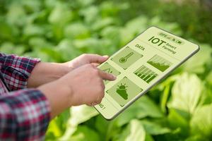 agricultor de tecnología agrícola que tiene tableta digital o tecnología de tableta para investigar sobre datos de análisis de problemas agrícolas e icono visual. granjero agrícola inteligente que usa internet de las cosas foto