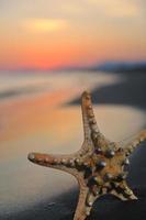 puesta de sol de playa de verano con estrella en la playa foto