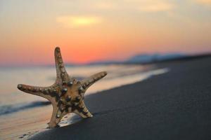 puesta de sol de playa de verano con estrella en la playa foto