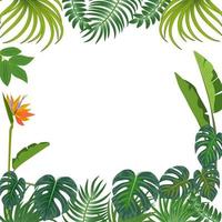 Vector tropical jungle background with palm trees and leaves.