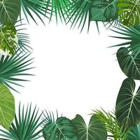 Vector tropical jungle frame with palm trees, flowers and leaves on white background