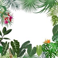 banner de selva tropical vectorial, marco con palmeras, flores y hojas sobre fondo blanco vector