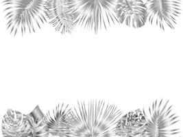 Vector tropical jungle frame with silver palm trees and leaves on white background