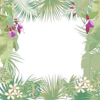 Vector tropical jungle banner, frame with palm trees, flowers and leaves on white background