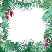 Vector tropical jungle banner, frame with palm trees, flowers and leaves on white background
