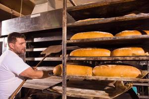 bakery worker taking out freshly baked breads photo