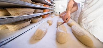 bakers preparing the dough photo