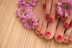 female feet and hands at spa salon photo