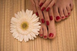 female feet and hands at spa salon photo