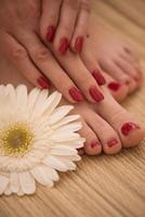 female feet and hands at spa salon photo