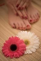 female feet and hands at spa salon photo