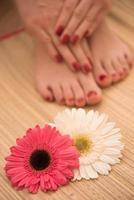 female feet and hands at spa salon photo