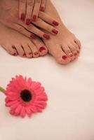 female feet and hands at spa salon photo