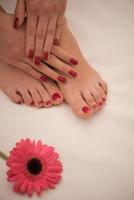 female feet and hands at spa salon photo