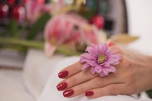 dedos de mujer con manicura francesa foto