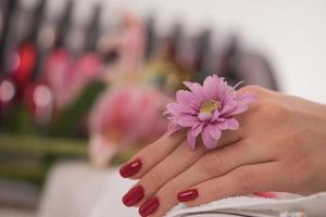 dedos de mujer con manicura francesa foto