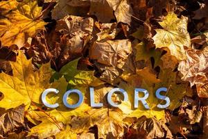 the word colors laid with metal letters over yellow autumn fallen leaves - closeup with selective focus photo