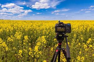 modern professional mirrorless camera on tripod shooting yellow field on tripod, closeup photo