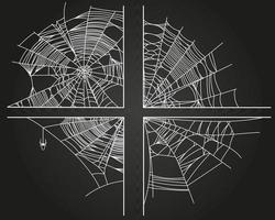 Spider web parts vector