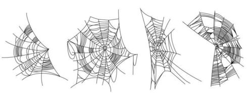 Spider web parts vector