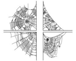 partes de la tela de araña vector