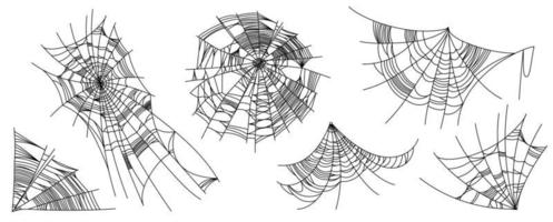 partes de la tela de araña vector