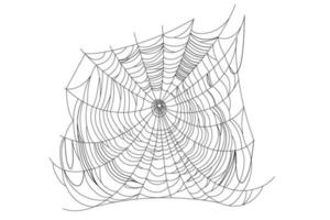 Spider web parts vector