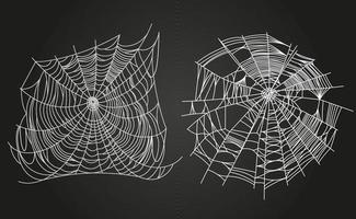 Spider web parts vector